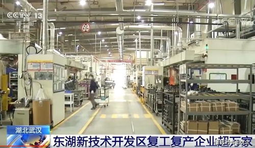 武汉东湖高新区复工复产突破万家，电气科技领域技术开发引领创新浪潮